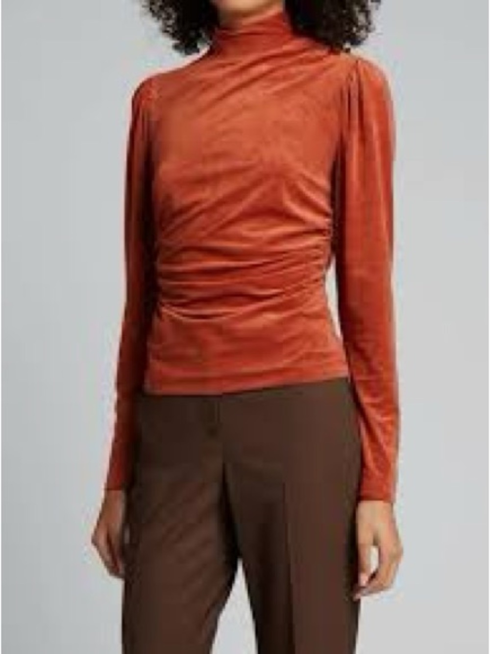 A.L.C. Rust Velvet Ruched Turtleneck